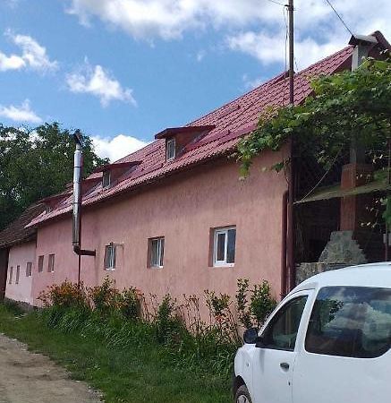 Vila Casa Boierului Imbri Cîrţişoara Exteriér fotografie