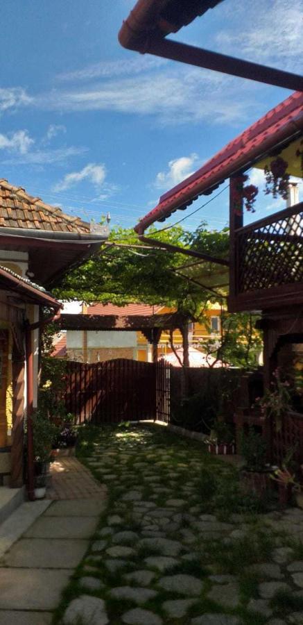 Vila Casa Boierului Imbri Cîrţişoara Exteriér fotografie
