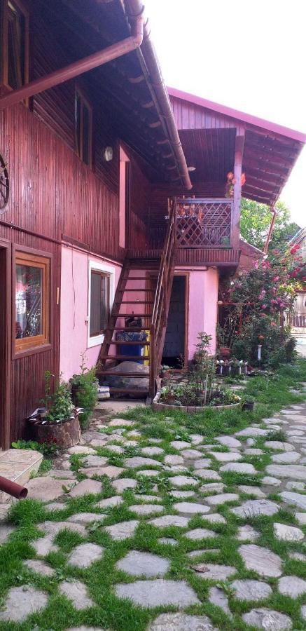 Vila Casa Boierului Imbri Cîrţişoara Exteriér fotografie