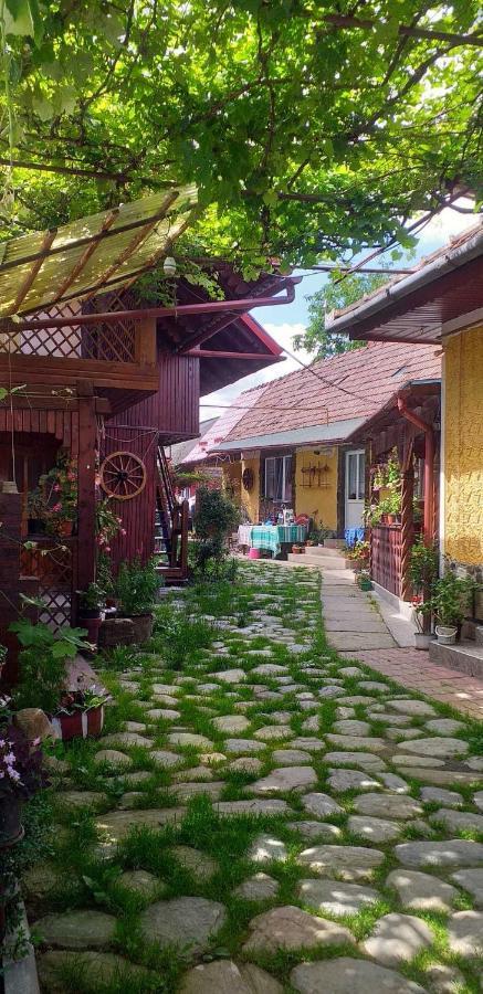 Vila Casa Boierului Imbri Cîrţişoara Exteriér fotografie