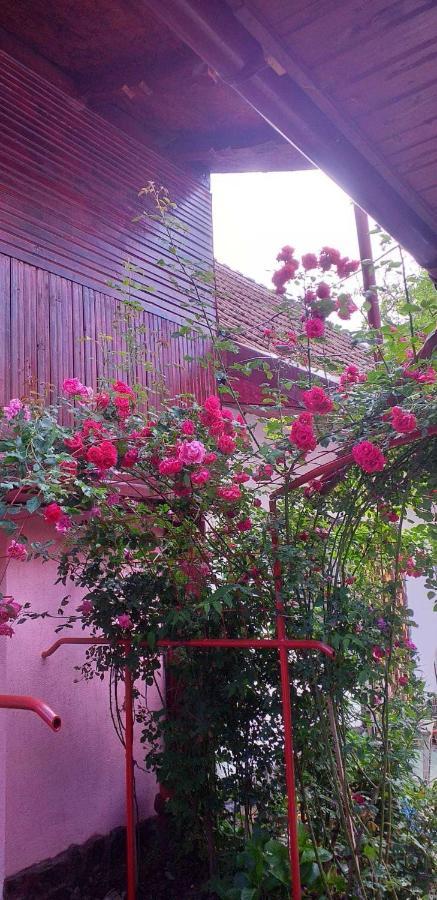 Vila Casa Boierului Imbri Cîrţişoara Exteriér fotografie
