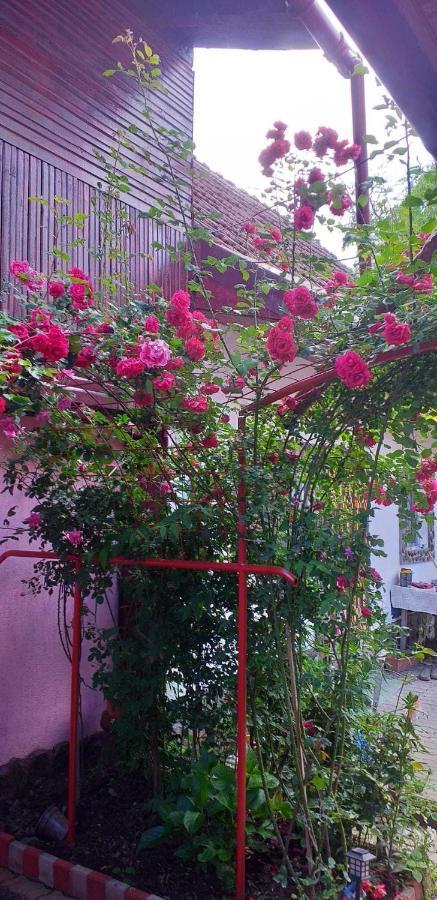 Vila Casa Boierului Imbri Cîrţişoara Exteriér fotografie