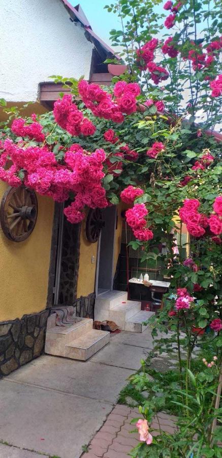 Vila Casa Boierului Imbri Cîrţişoara Exteriér fotografie