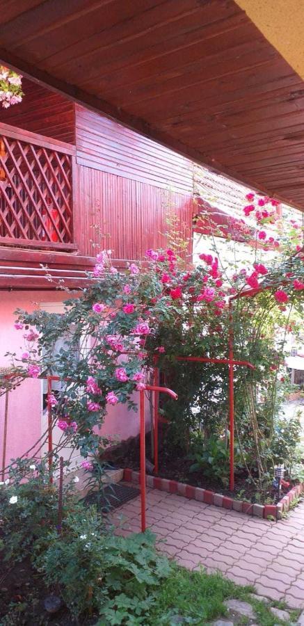 Vila Casa Boierului Imbri Cîrţişoara Exteriér fotografie